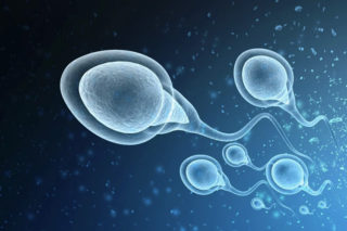 Male Infertility Services